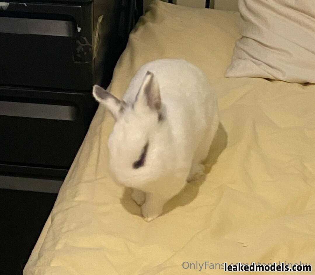 inotsukki stanshinobu Photo Nude Leaks OnlyFans 16