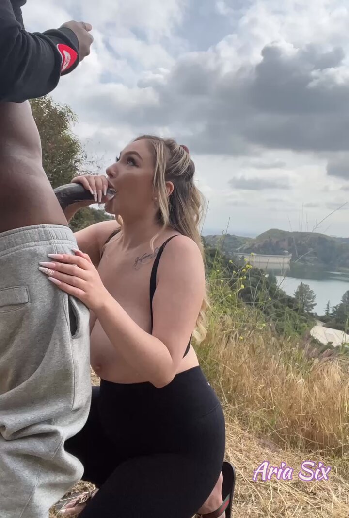 ariasixs video Tweet