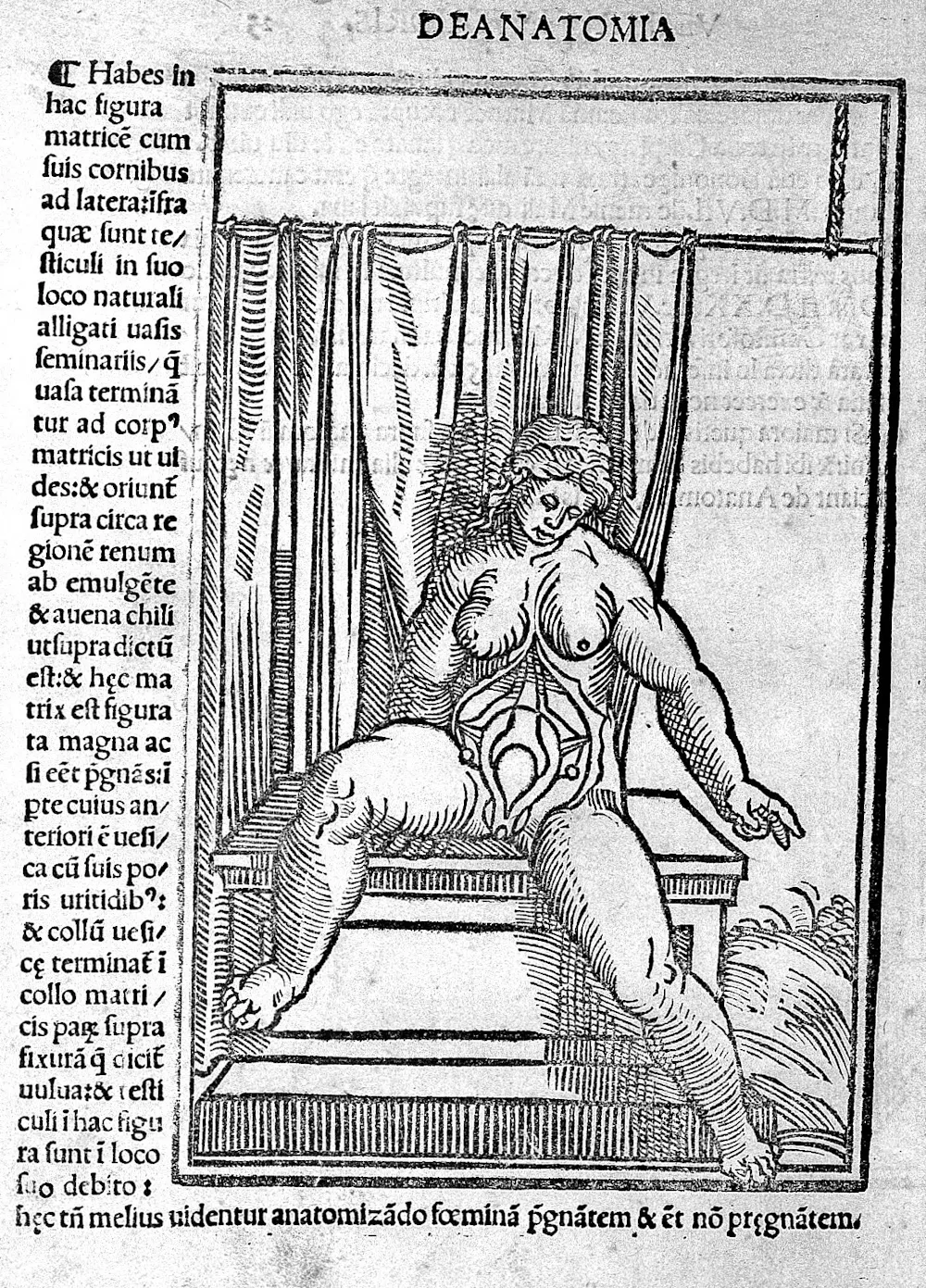 Lascivious virgins and lustful itches: womens masturbation in early England