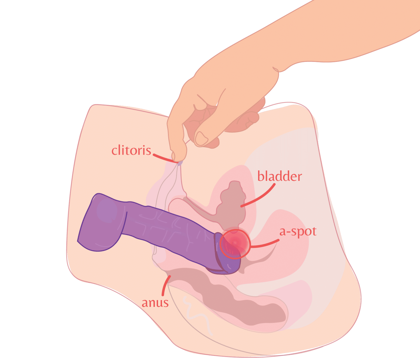 How to Cum with a Dildo: The Path to Explosive Orgasms