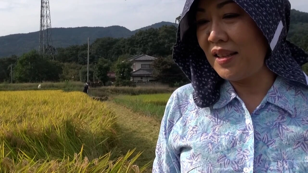 Instagram Harvest Porn Videos: Full HD 1080p XXX 2025