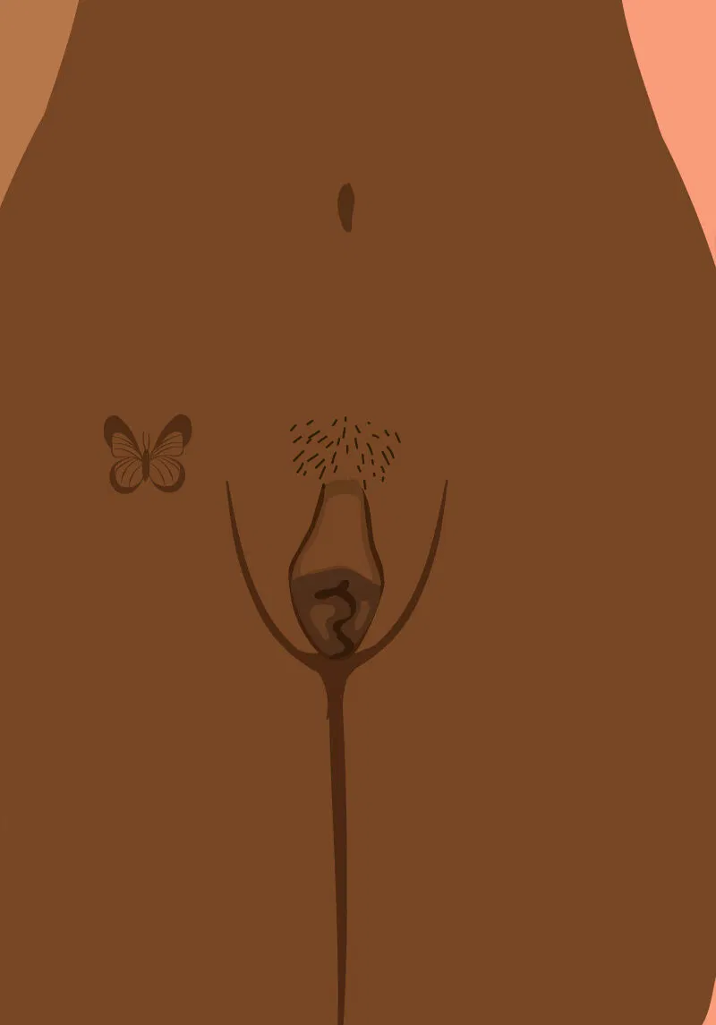Lopsided Vagina: 9 Different Labia Shapes Colors and Sizes