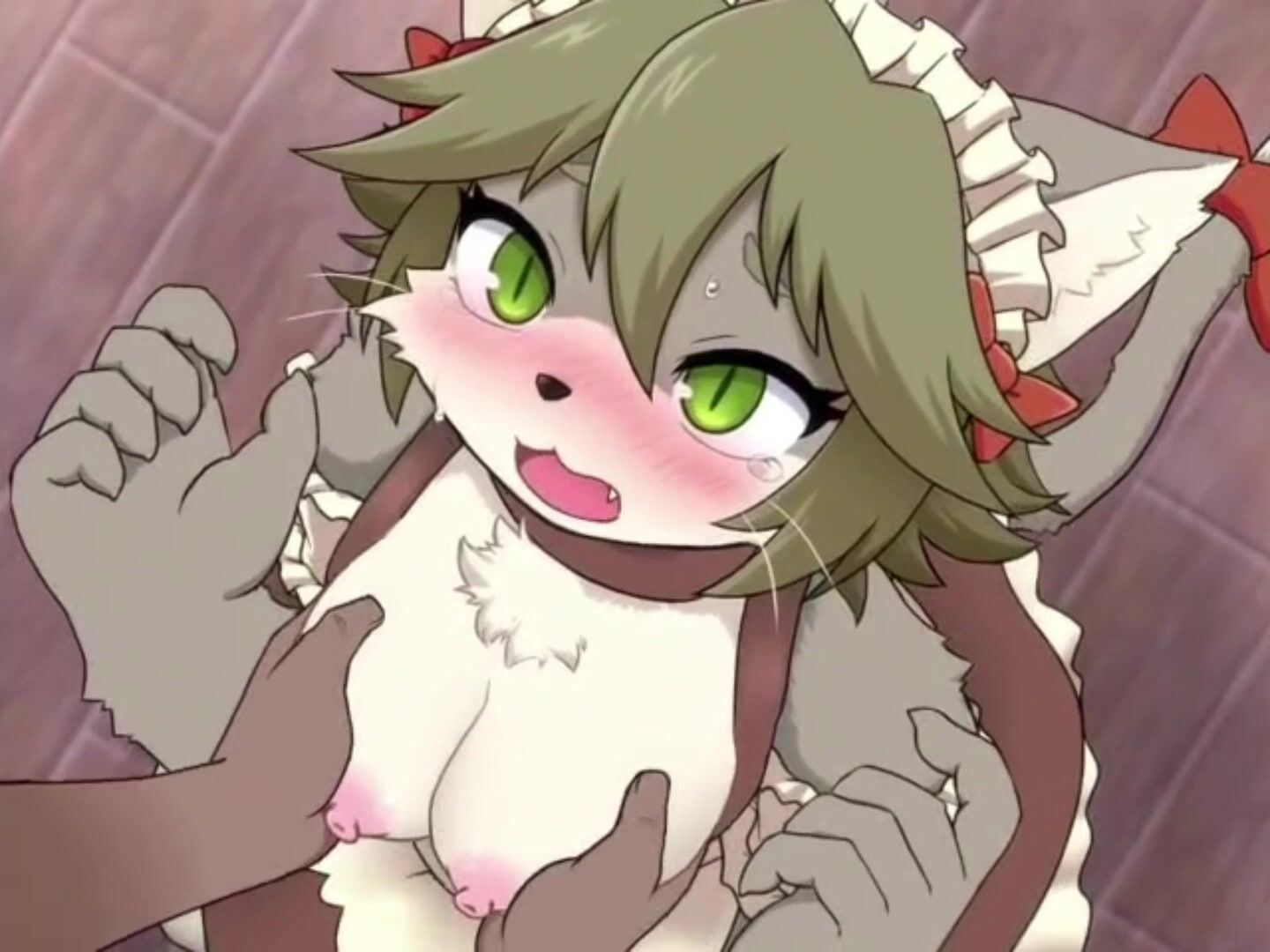 Furry Porn Comp With sound and quiet bgm