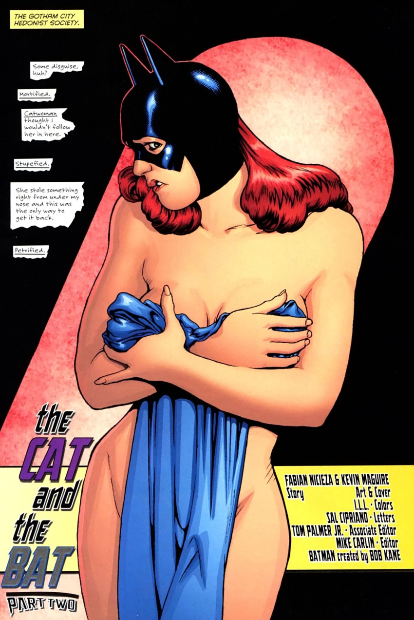Dc Comics Porn