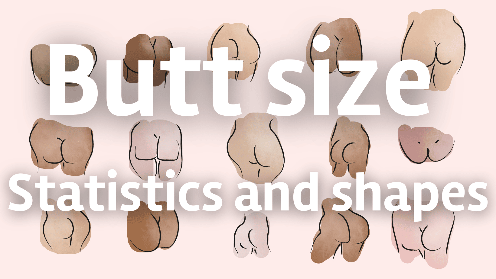 Butt Size Chart Statistics