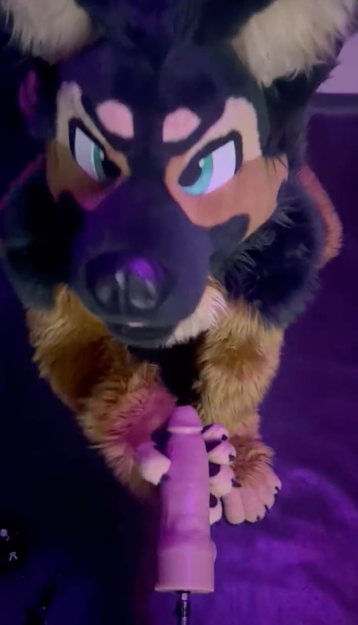 Shep Gets His Muzzle Fucked With Mounted Dildo