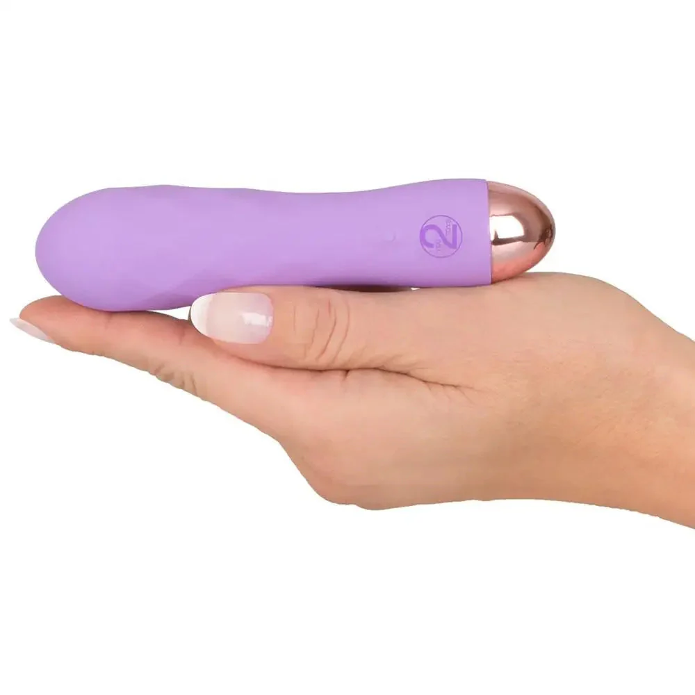 Shop You2toys Silicone Purple Multi-speed Rechargeable Mini Bullet Vibrator Peaches and Screams