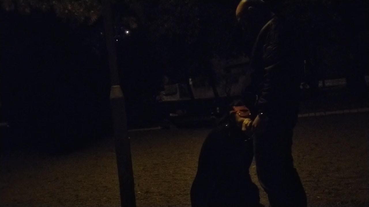 Mature slut gives outdoor blowjob with cum in mouth