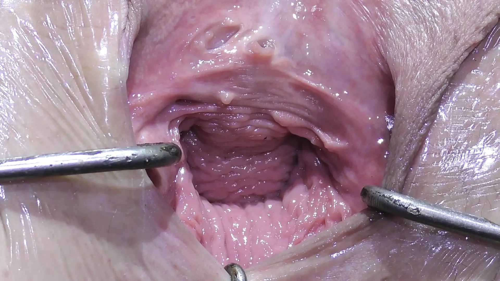 Wide Open: Close-up Close-up Porn by FapHouse