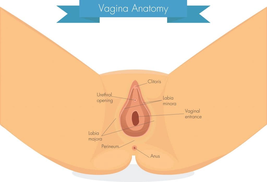 How to Eat Pussy: 5 Steps to Mastering The Craft of Pussy Eating