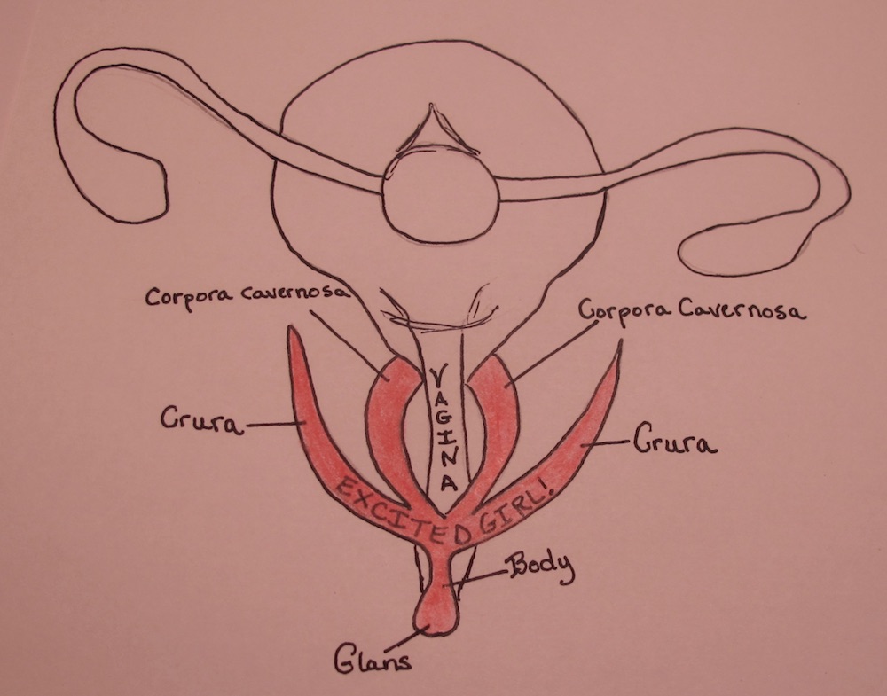 Vaginal Diagram: The Secret Anatomy to Unlocking Full Body Orgasms