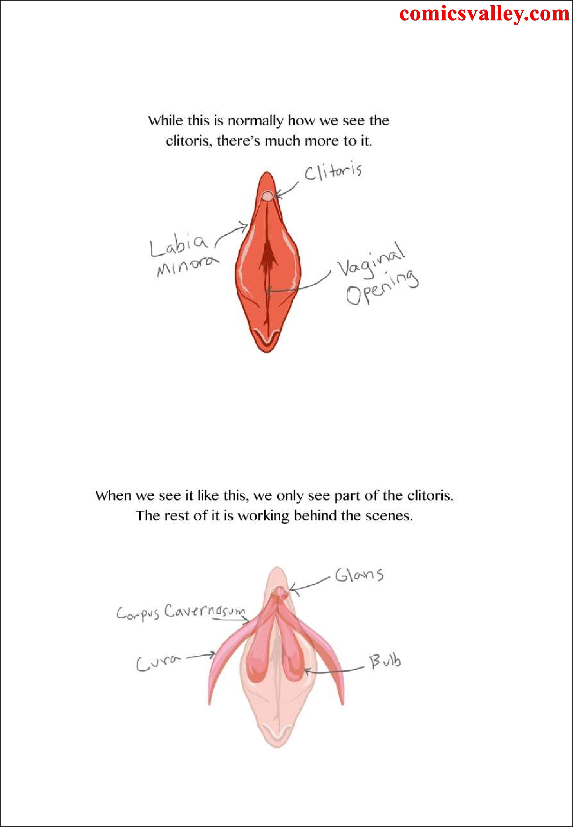 The Ten Pussy Eating Commandments Read Online Free