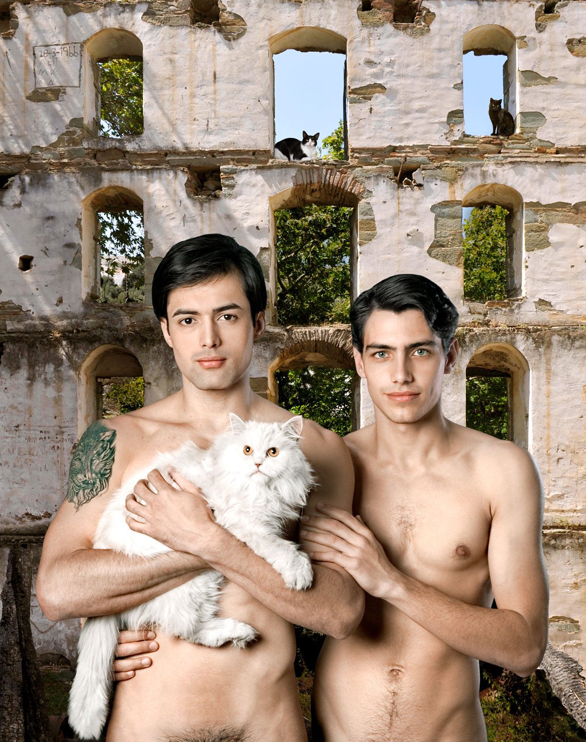 Untitled For a Definition of The Nude Series Men w Cat