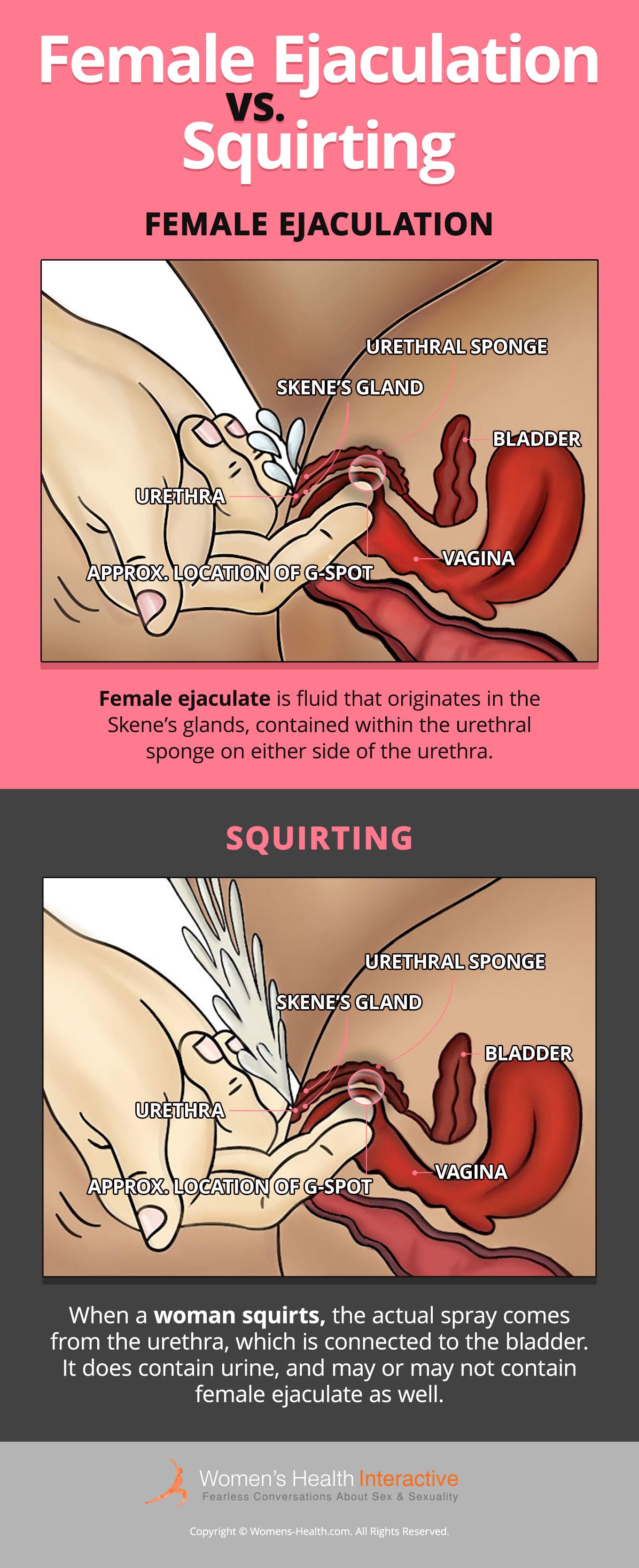 What Is Squirt And Is Yellow Squirt Pee?