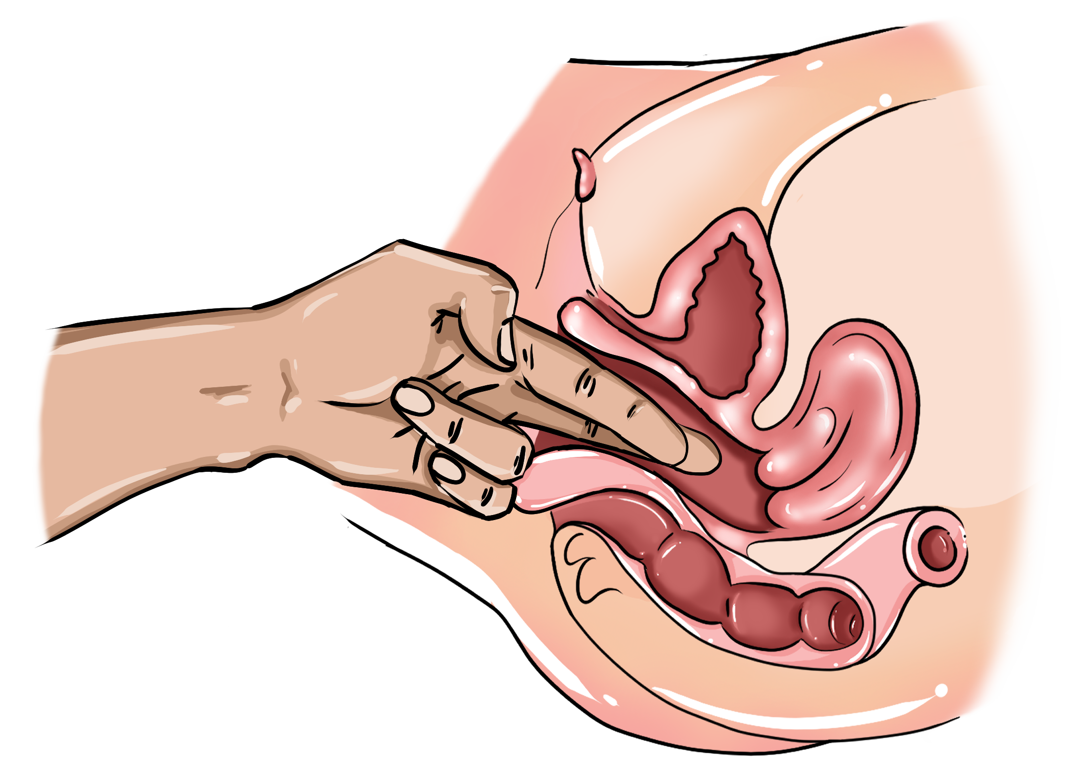 How to Finger a Girl? Try These Proven Techniques Youve Never Heard Before! Videos and Illustrations Included