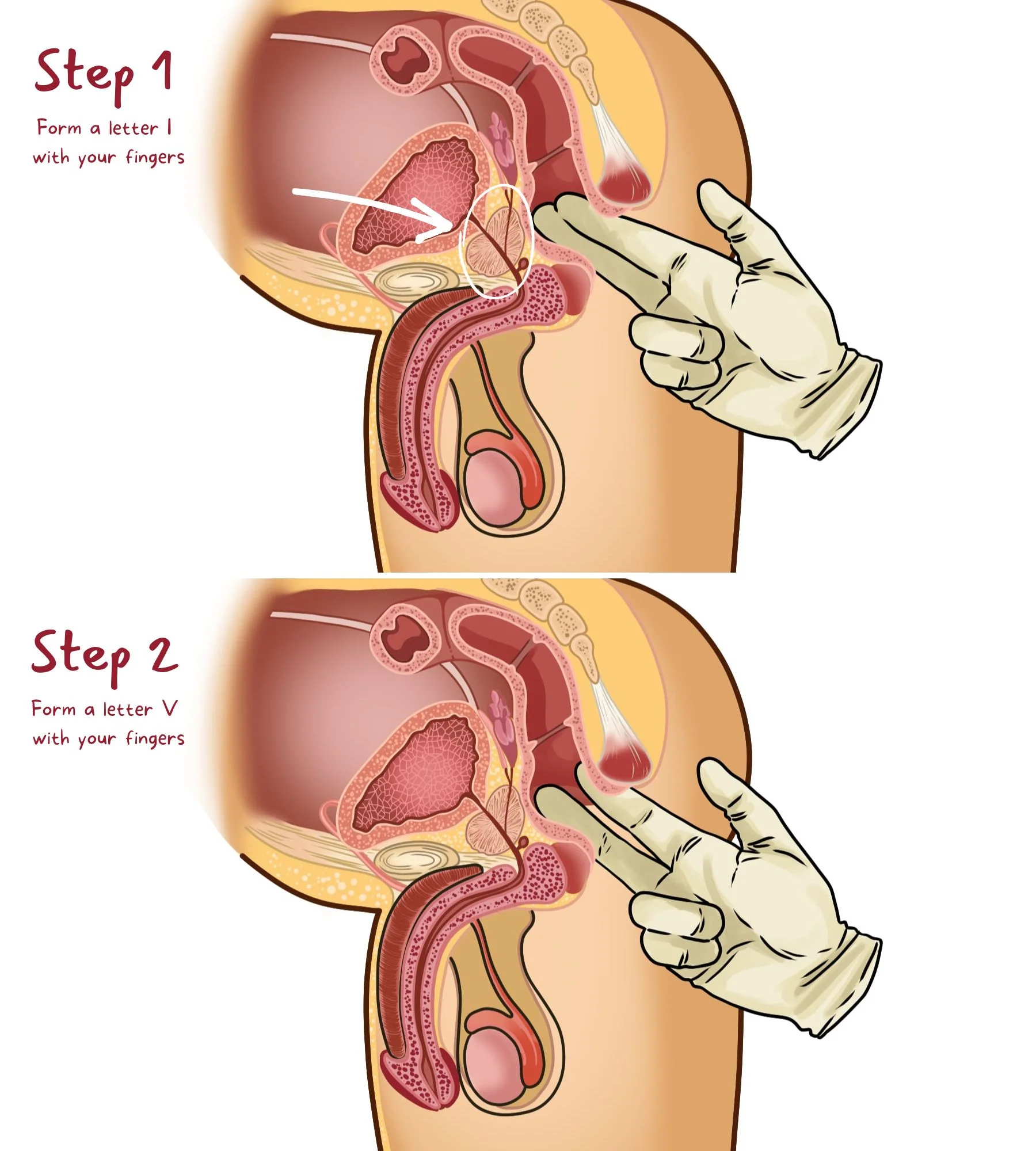 27 fingering techniques: How to finger vagina anus prostate
