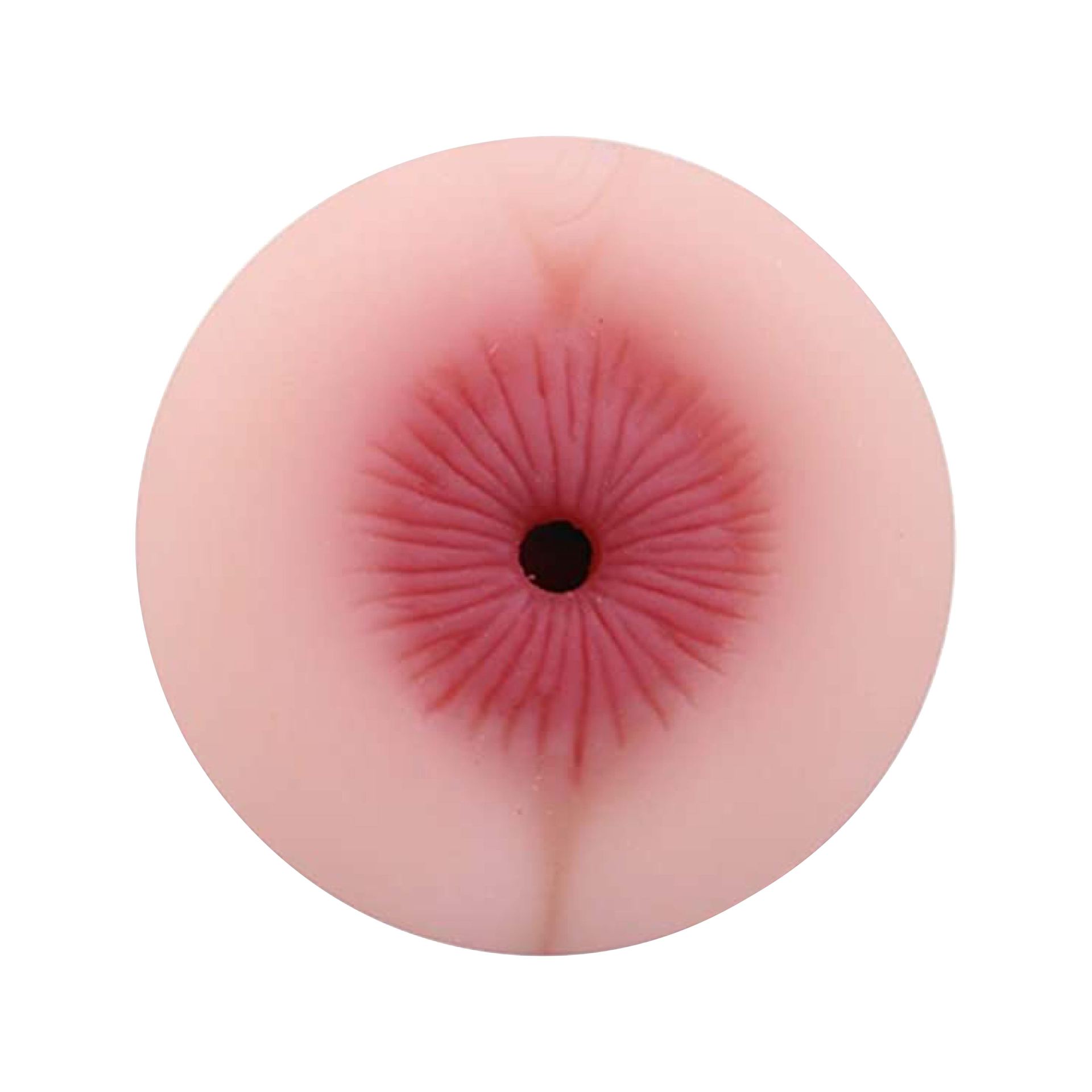 Pocket Pussy Torch Anus Handmatig Zwart kopen?
