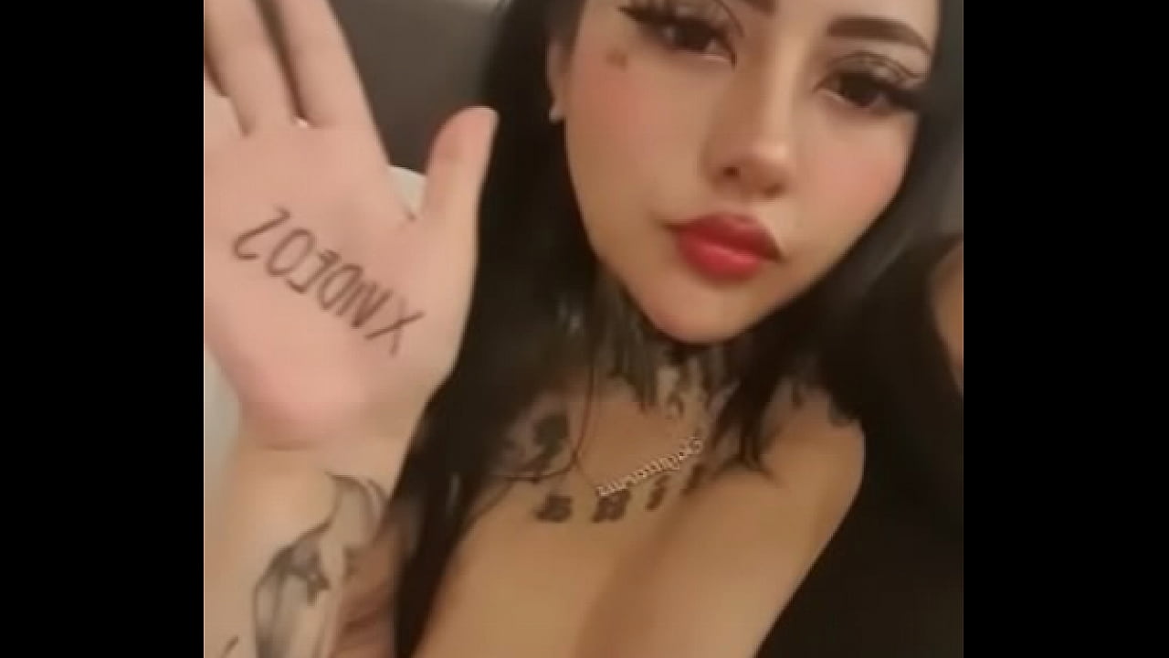 Vdeo de verificacin