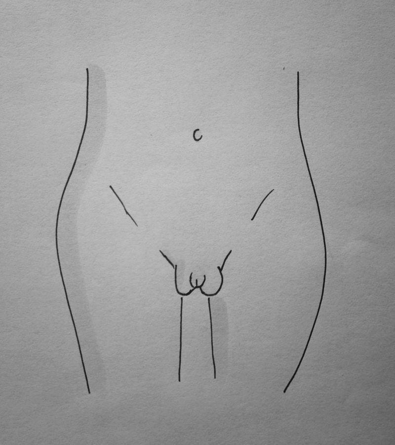 Is my vagina normal? Experts weigh in on the 7 types of vagina