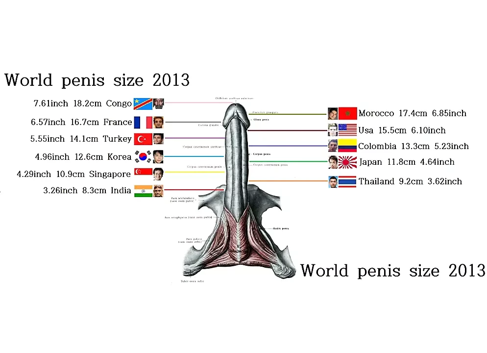 Vdeos Porno de World Smallest Penis Size Country Ranking In The World 2018: Pelculas de Sexo XXX Gratis 2025