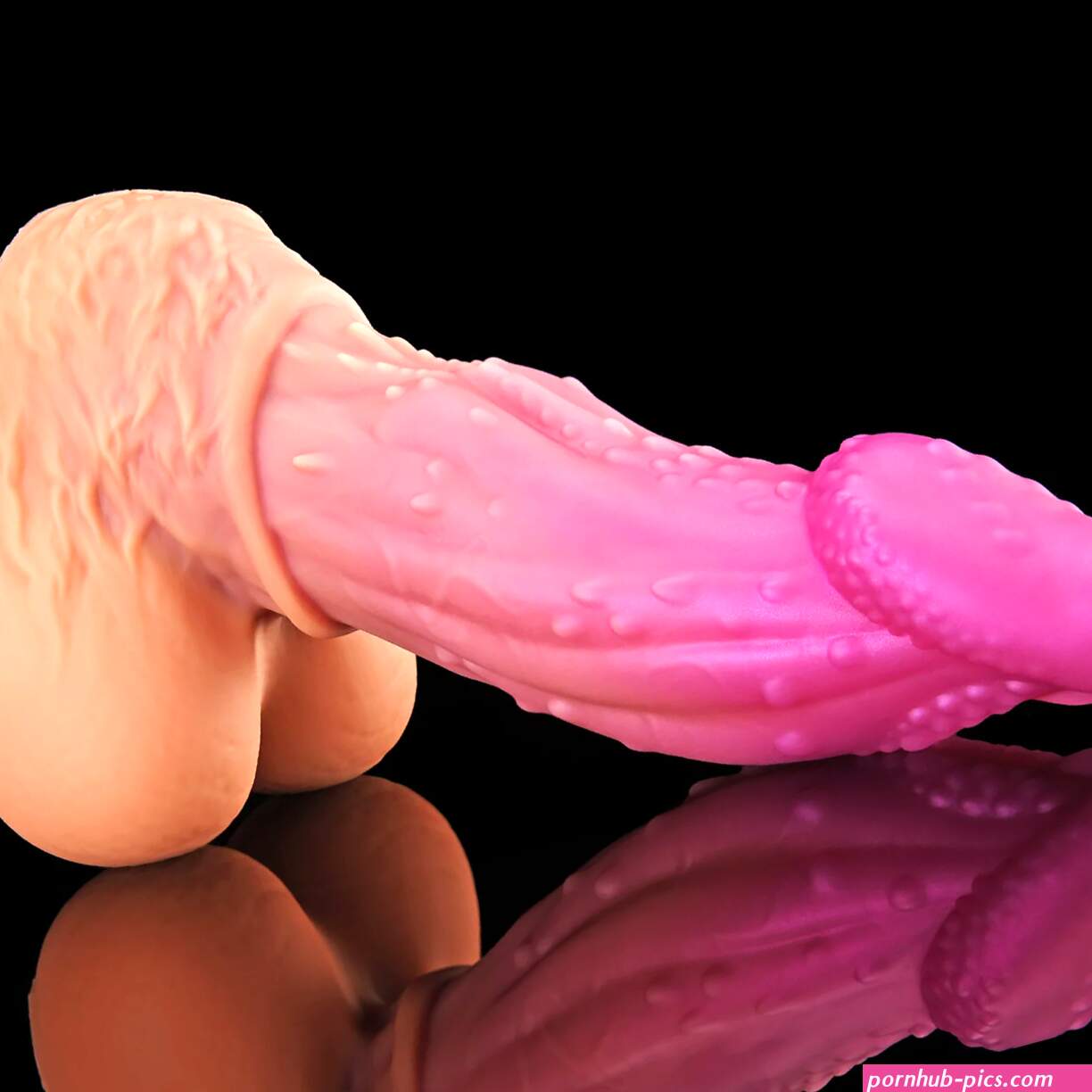 Nothosaur ALCANON Large Fantasy Dildos Animal Dildo Long Anal Plug