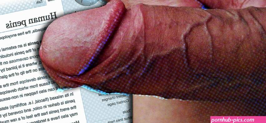 The Many Penises and Masturbators of Wikipedia