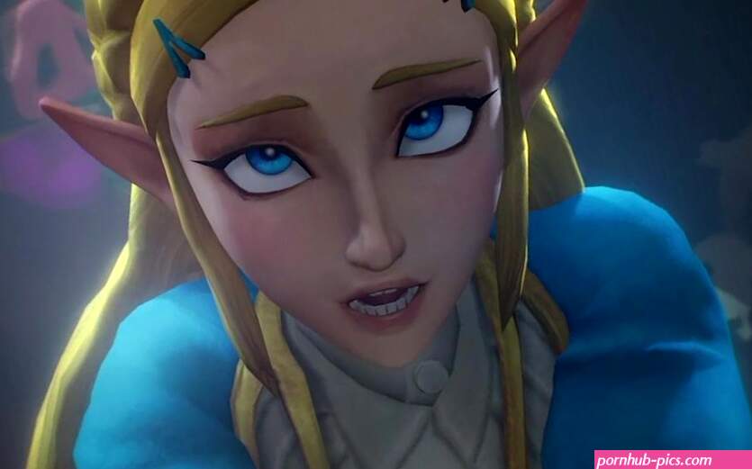 Zelda BOTW Compilation