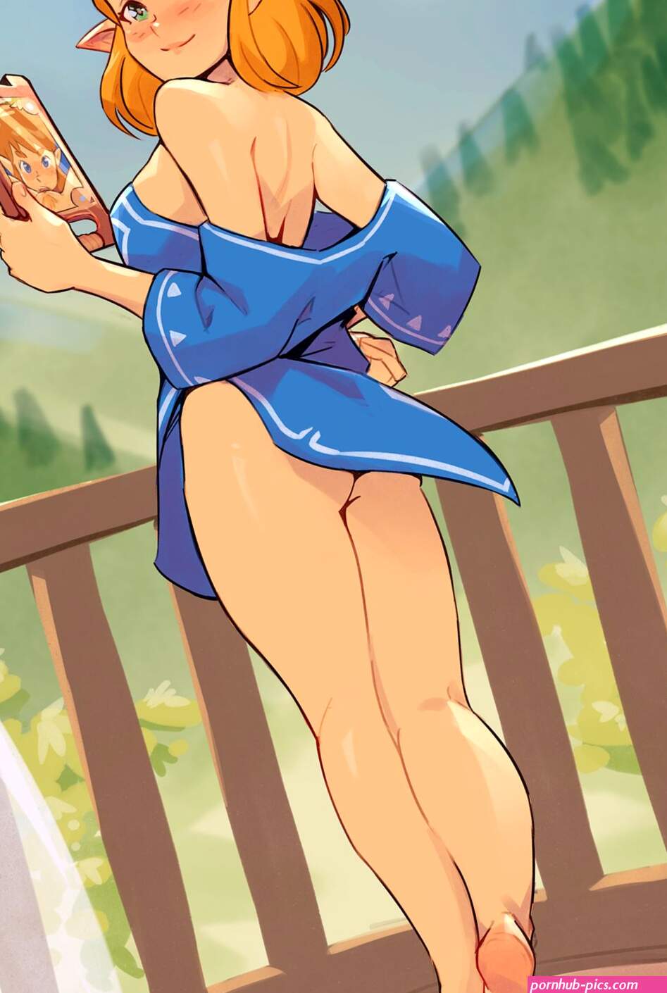 Link x Zelda Porn Comics