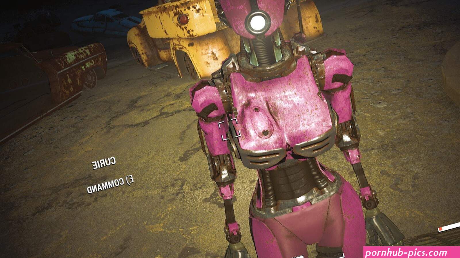 Assaultron human skeleton mod? Bruh
