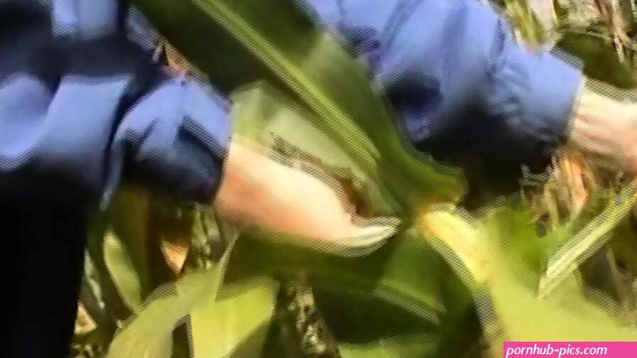 Corn In Pussy