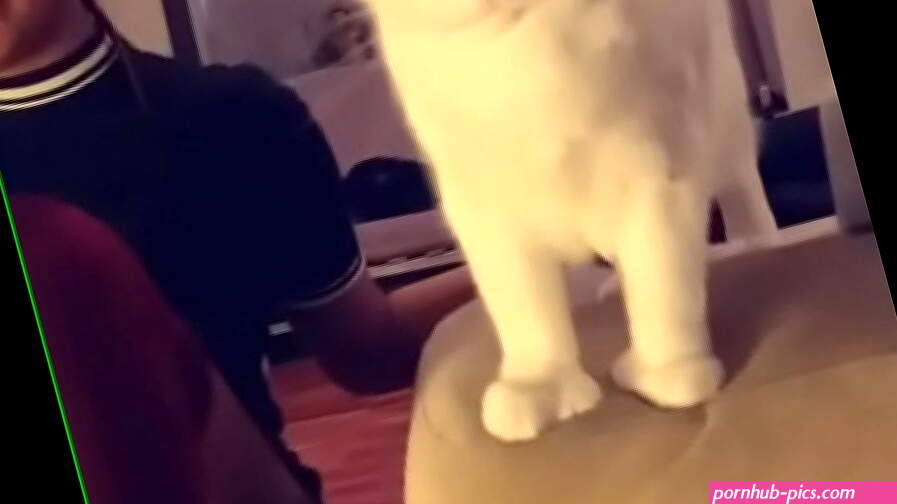 South African babe fingered herself while her cat interrupted the show