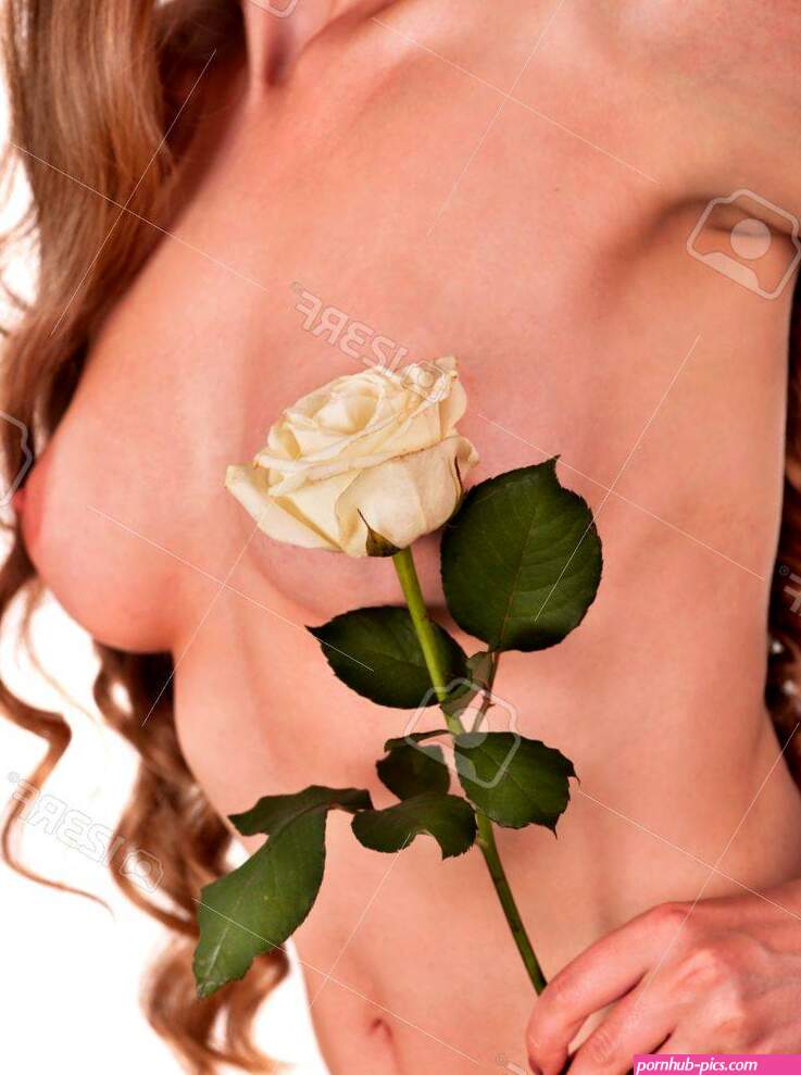 Breasts Woman Nude And Pink Rose Flower. Stock Photo Picture and Royalty Free Image. Image 79219911.