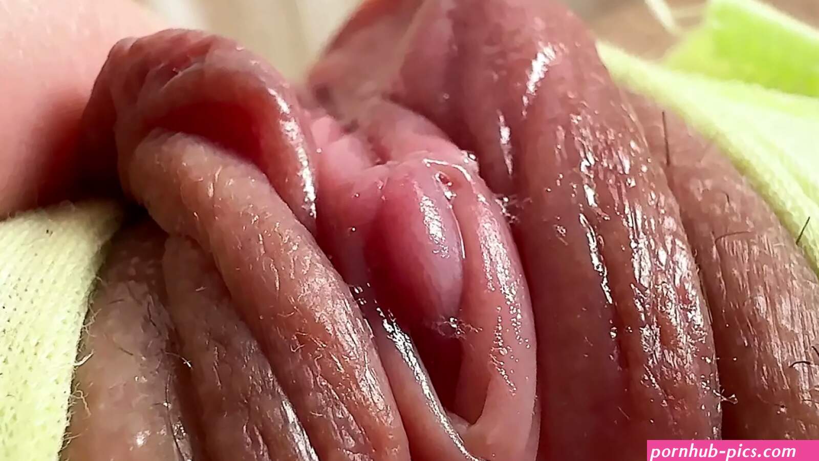 Figona Porn Videos: Free Full HD 1080p XXX-rated Sex Videos 2026