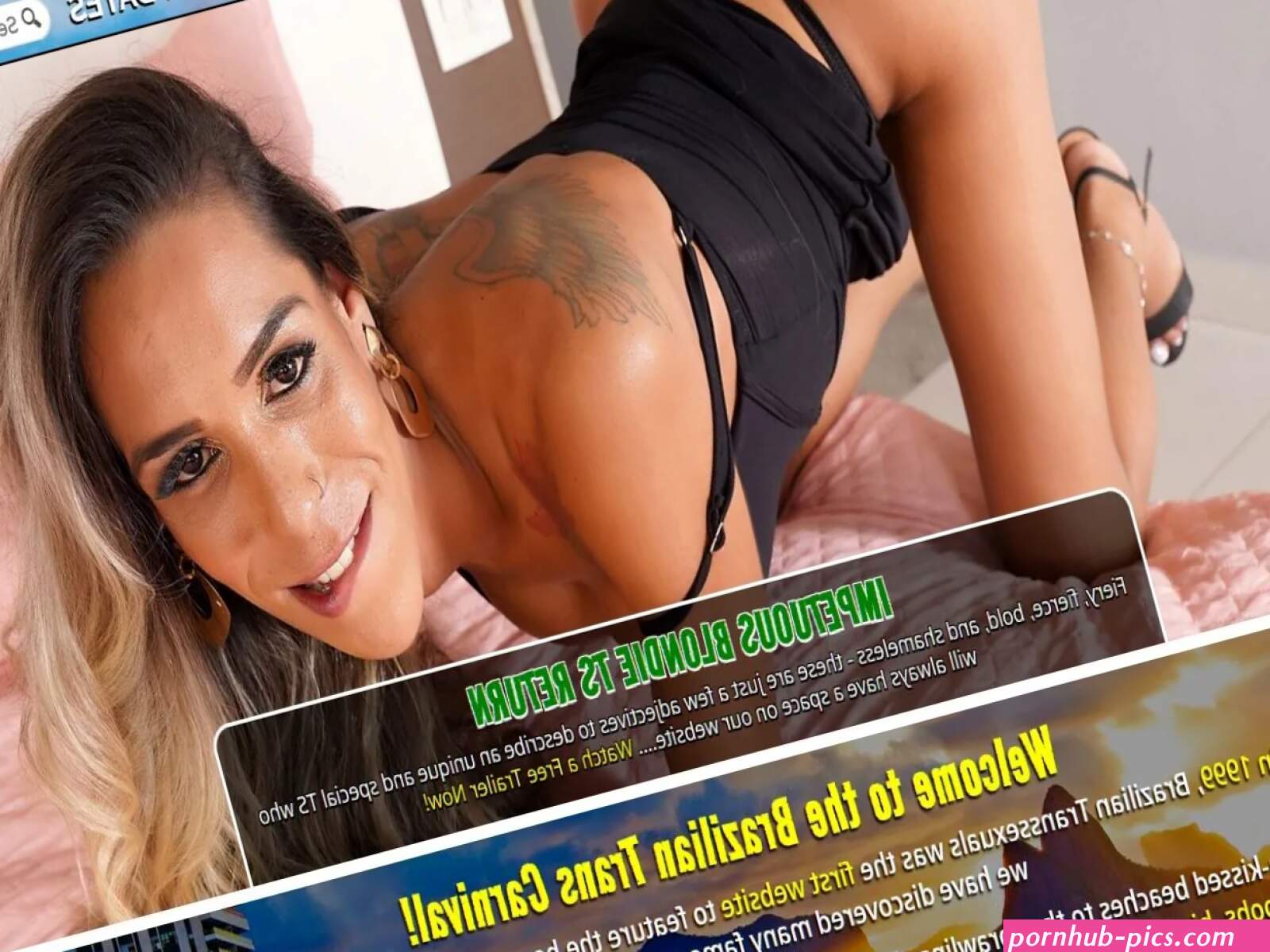 Transessuali brasiliani e 5 siti simili a transessuali brasiliani
