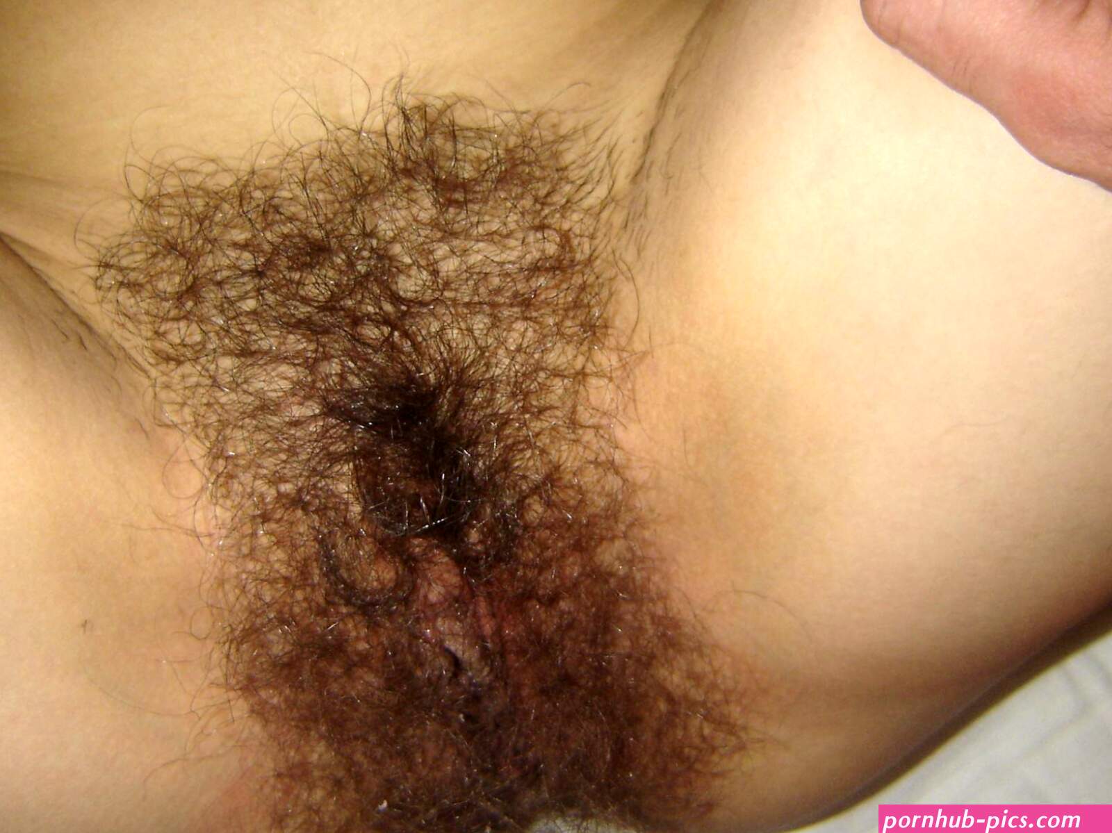 Hairy greek pussy