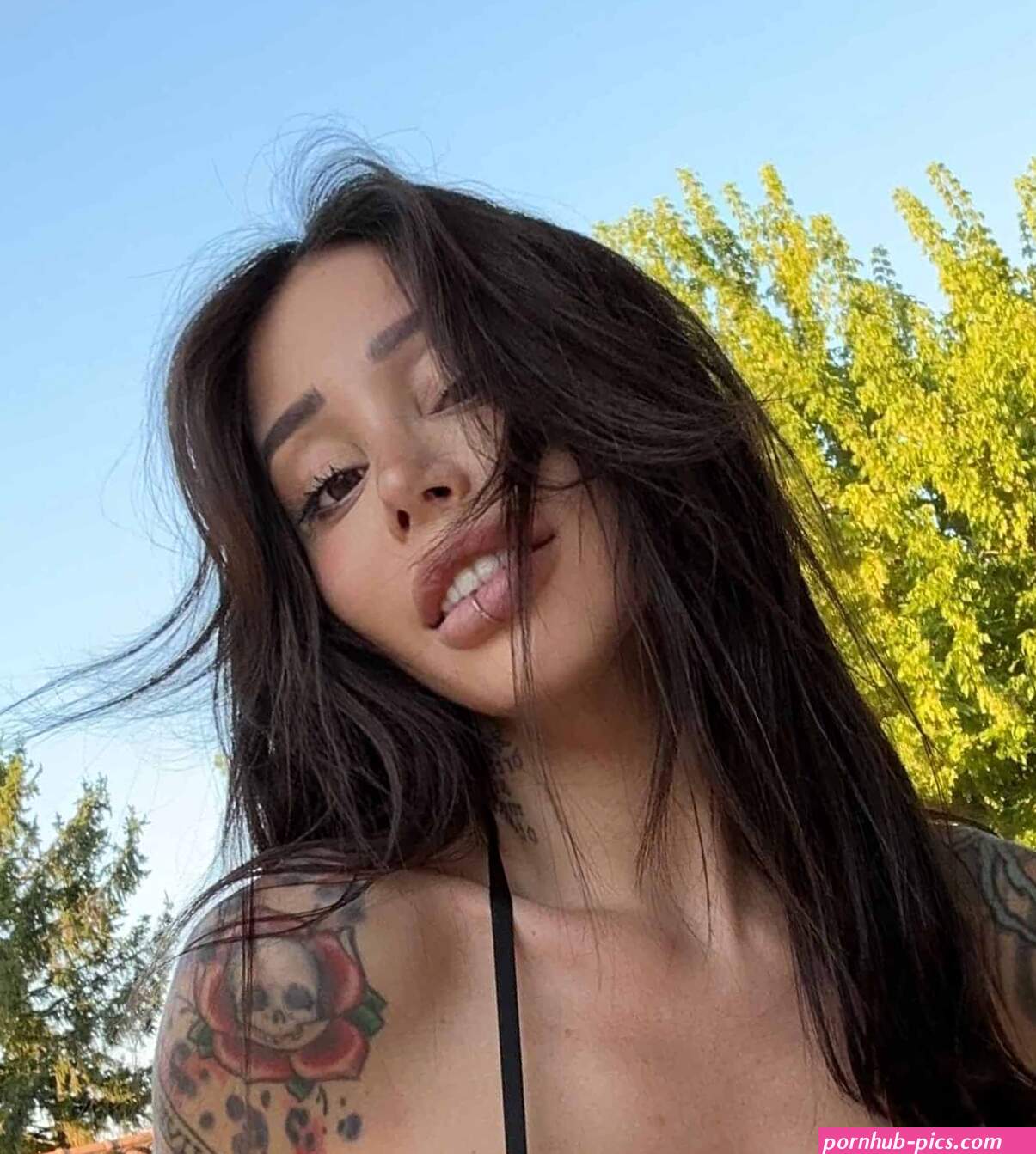 Alex Mucci