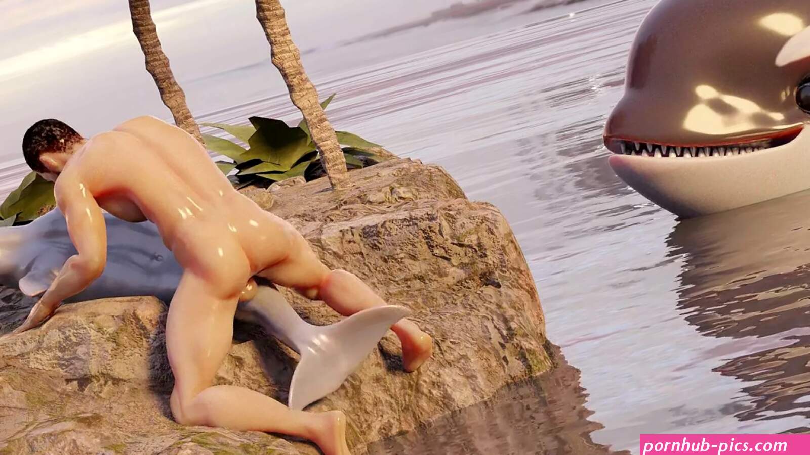 man and dolphin