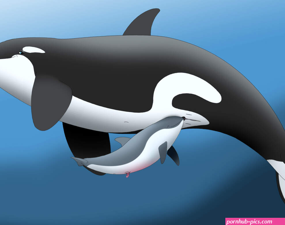 Rule 34