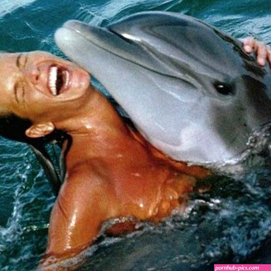 Stream Fucking Dolphin music