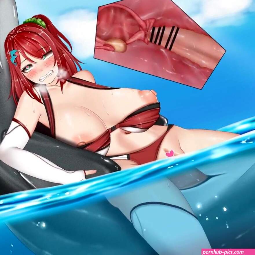 Dolphin breeding Iruka Sakimiya