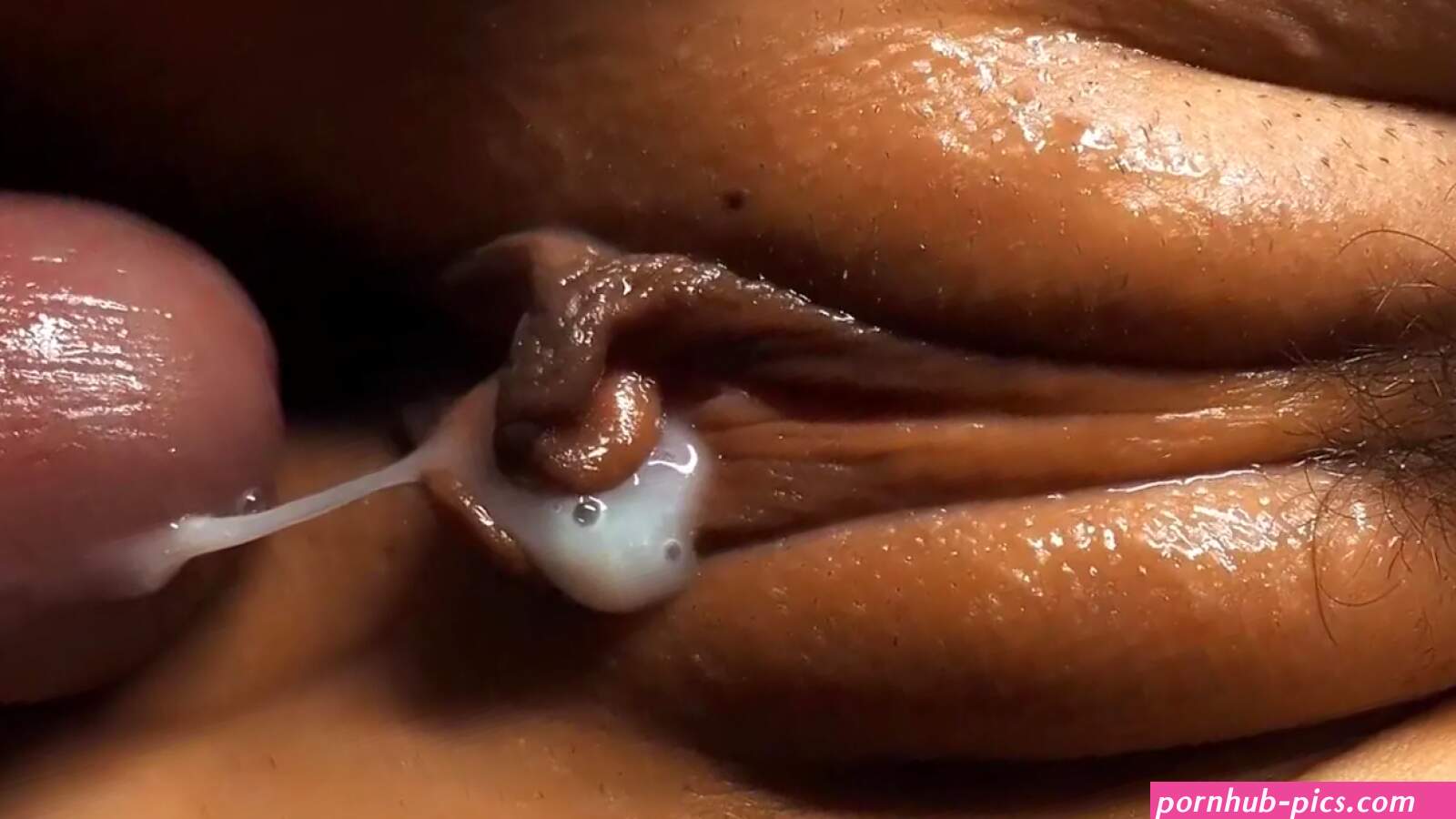 Close-up creampie compilatie