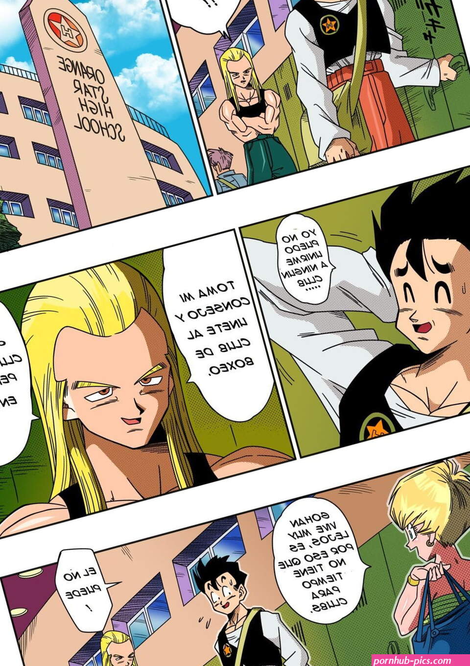 Yamamoto LOVE TRIANGLE Z