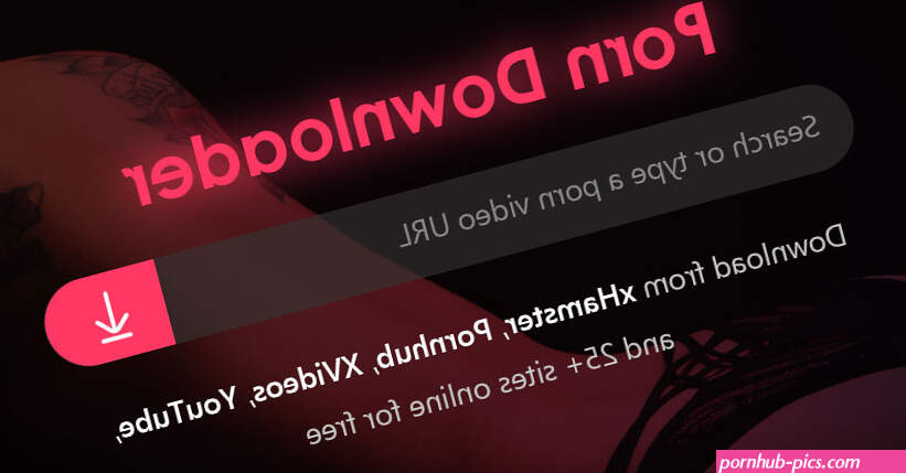 Best Porn Downloader 2025