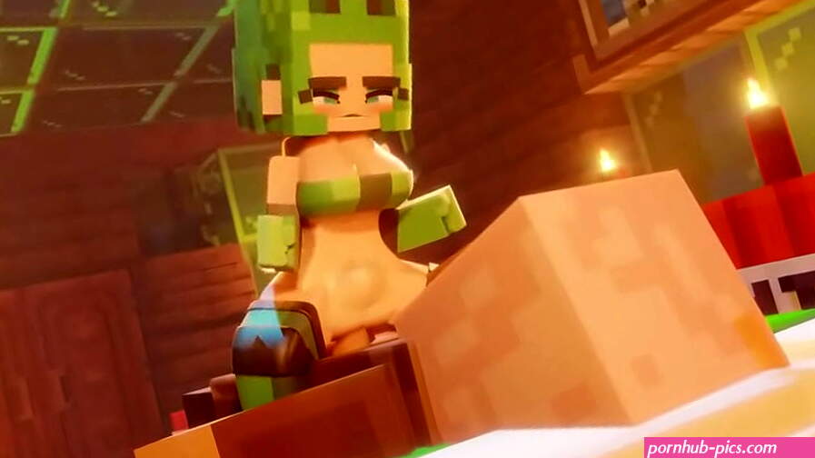 Creeper Girl Fuck a Villager Minecraft Rule34 Animation