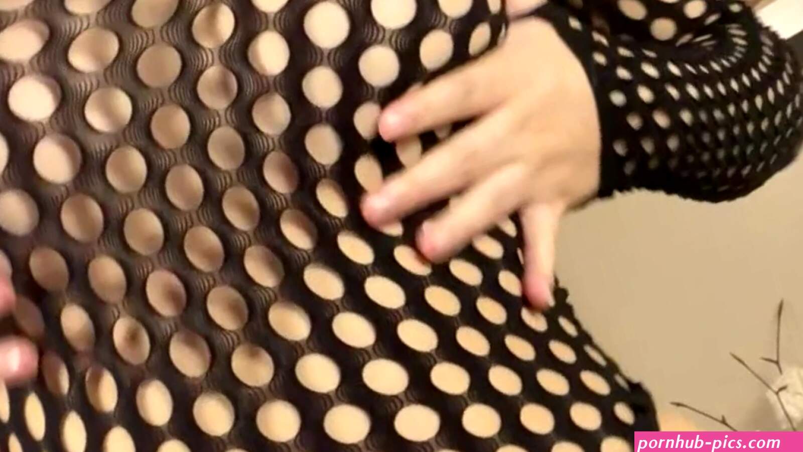 aleavi