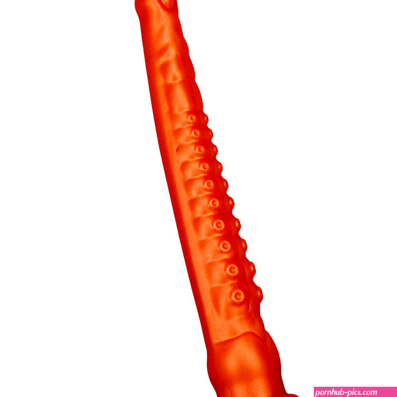 31cm