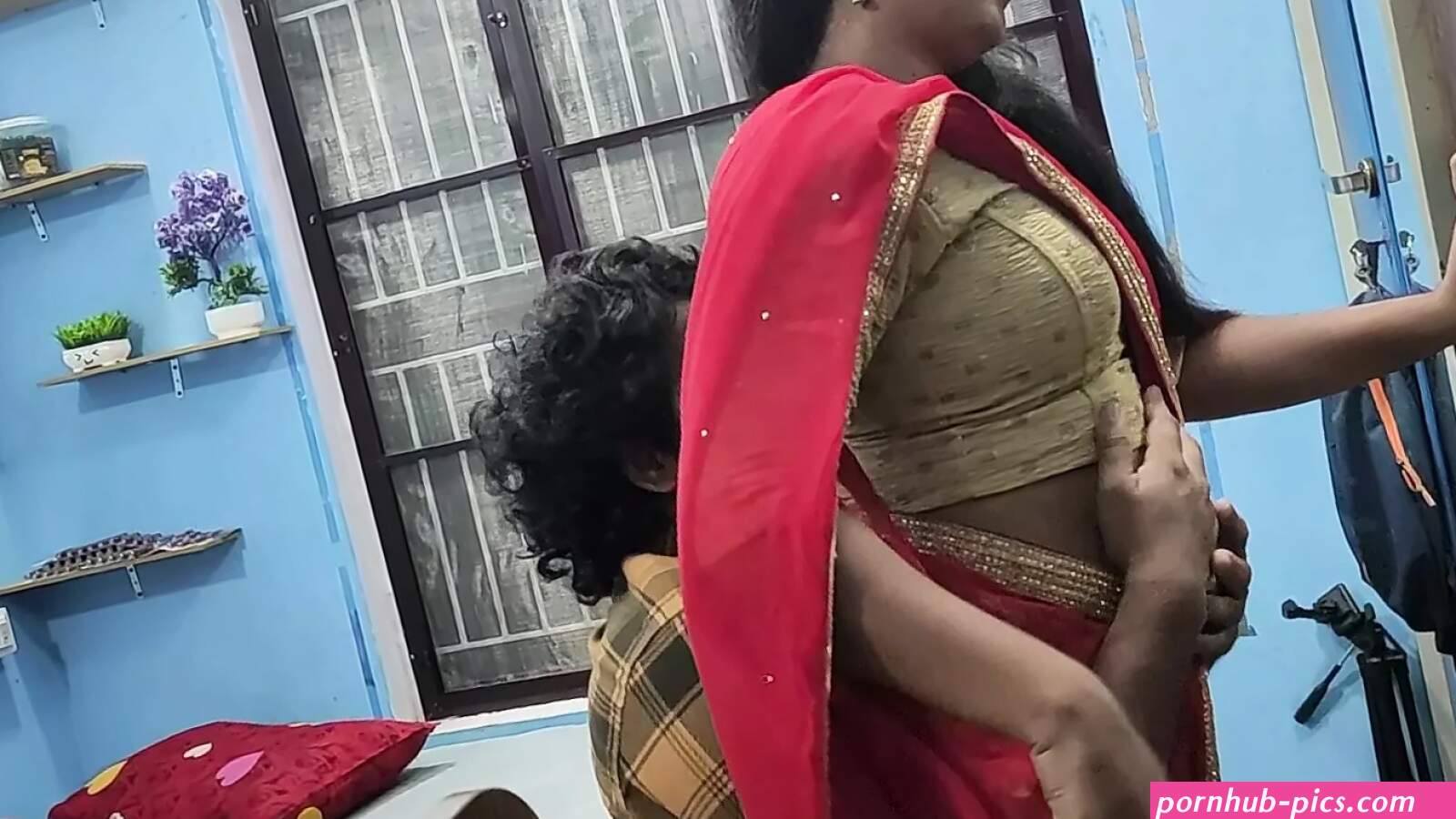Mallu Red Saree Romance Porno Videos