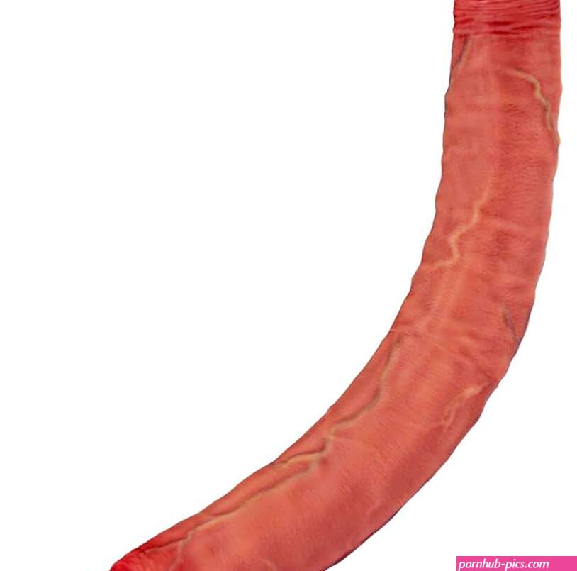 : 18.11 1.7 Inch Double Dildo Long Double Sided Dildo Huge Silicone Double Ended Dildo for Anal Vaginal Stimulator Thick Realistic Dildos with Vines for Couple Lesbian Gay Big Anal Adult