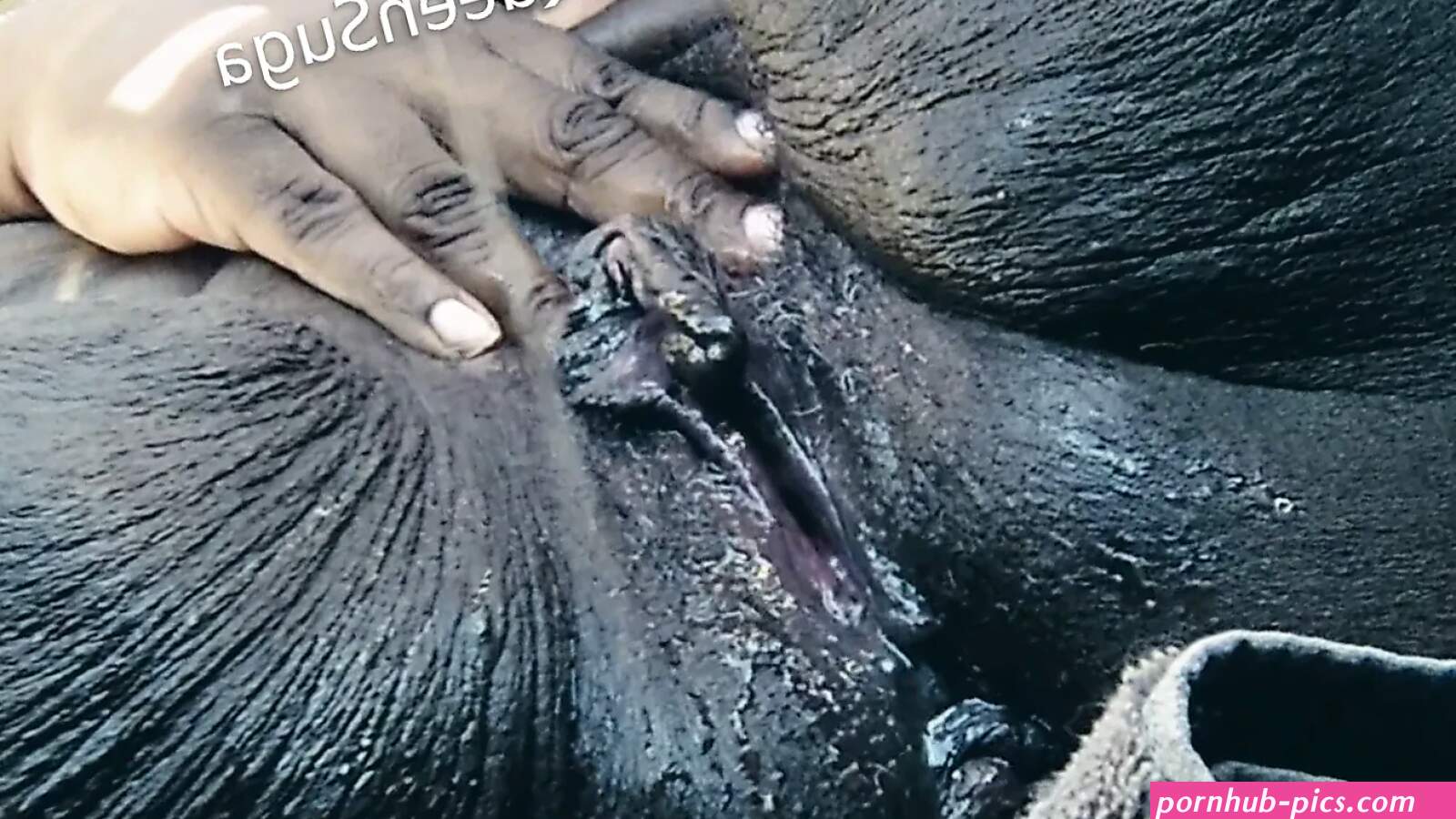 Parking Lot Squirt Porno Videos