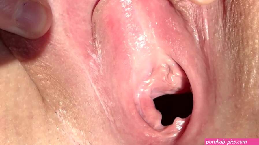 Extreem poesje van dichtbij in HD